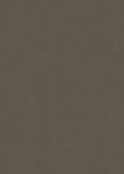 Metal Dust Champagne